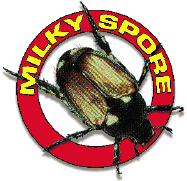Milky Spore Insecticide - 10 oz